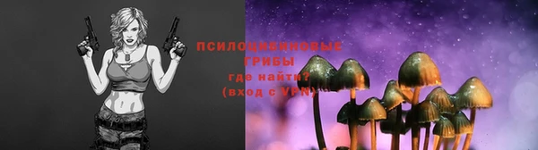 соль курить ск Арсеньев