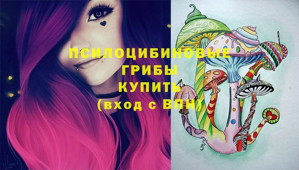 2c-b Медвежьегорск