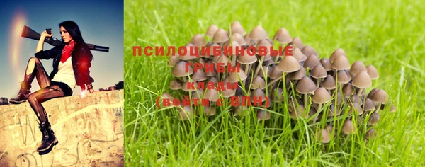 соль курить ск Арсеньев