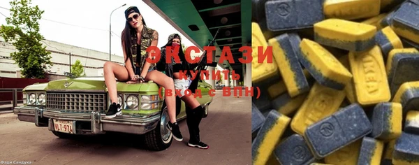 ECSTASY Алзамай