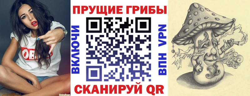 наркота  Аксай  mega ССЫЛКА  Псилоцибиновые грибы Cubensis 